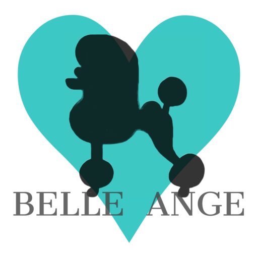 BELLE ANGE(ベルアンジュ)